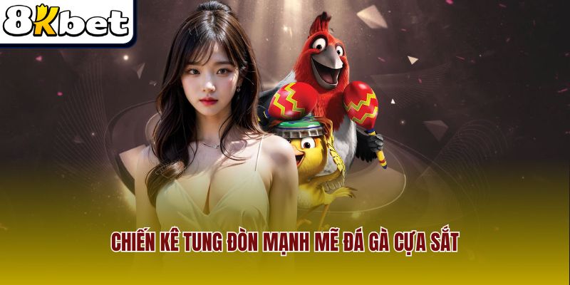 Chiến kê tung đòn mạnh mẽ đá gà cựa sắt