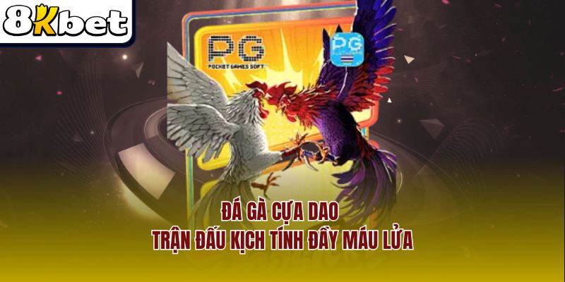 Đá Gà Cựa Dao – Trận Đấu Kịch Tính Đầy Máu Lửa