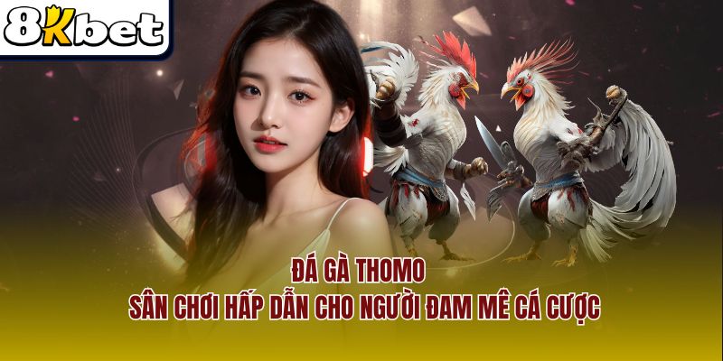 Đá Gà Thomo – Sân Chơi Hấp Dẫn Cho Người Đam Mê Cá Cược