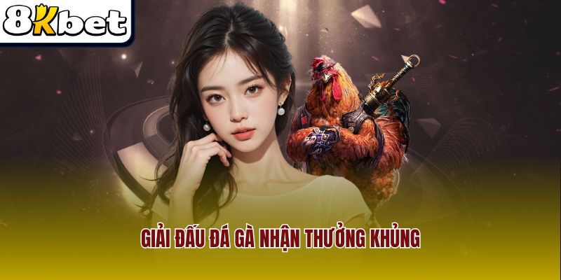 Giải đấu đá gà nhận thưởng khủng