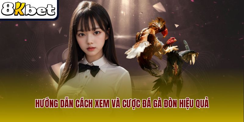 Hướng dẫn cách xem và cược đá gà đòn hiệu quả