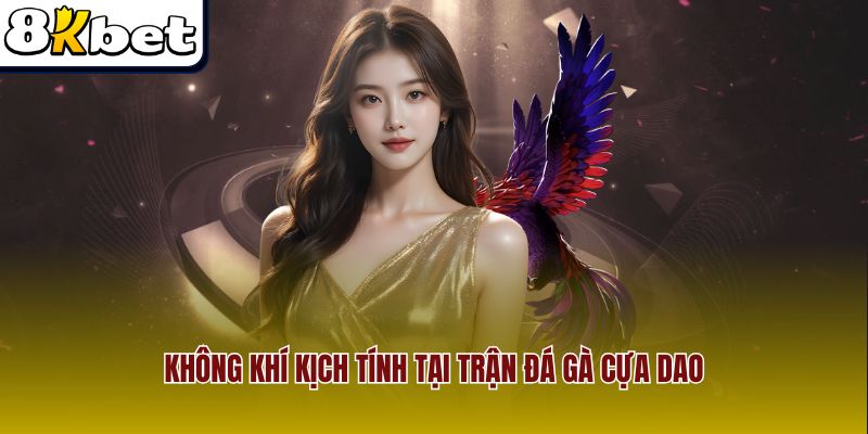 Không khí kịch tính tại trận đá gà cựa dao