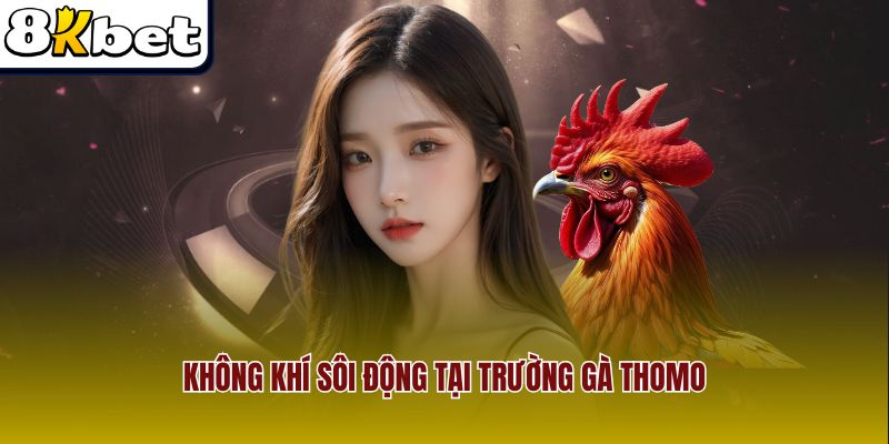 Bầu không khí náo nhiệt và hứng khởi tại trường gà Thomo