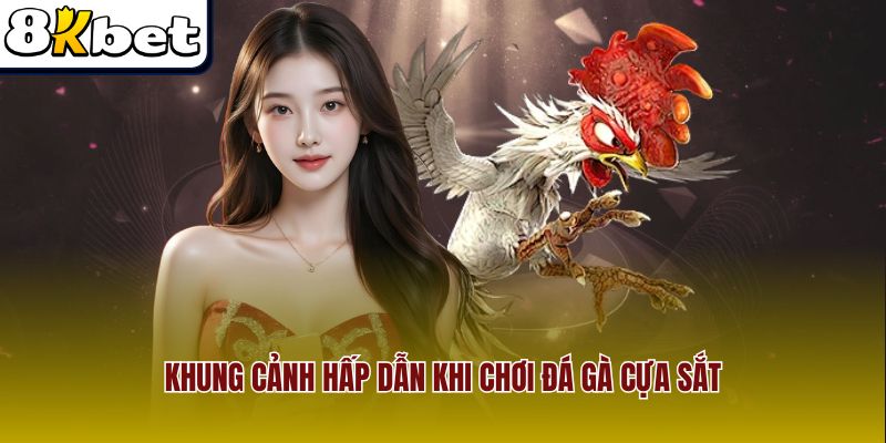 Khung cảnh hấp dẫn khi chơi đá gà cựa sắt