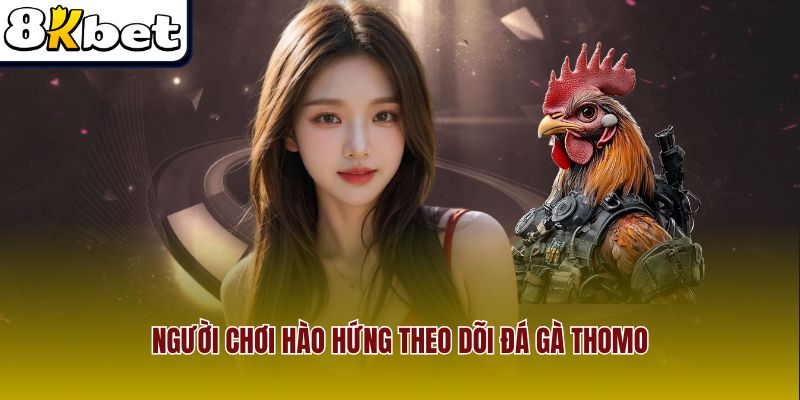Người chơi hào hứng theo dõi đá gà Thomo