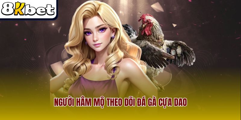 Người hâm mộ theo dõi đá gà cựa dao