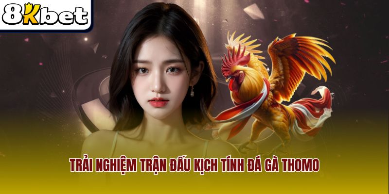 Trải nghiệm trận đấu kịch tính đá gà Thomo