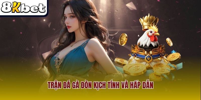 Màn so tài đầy căng thẳng và cuốn hút giữa các chiến kê